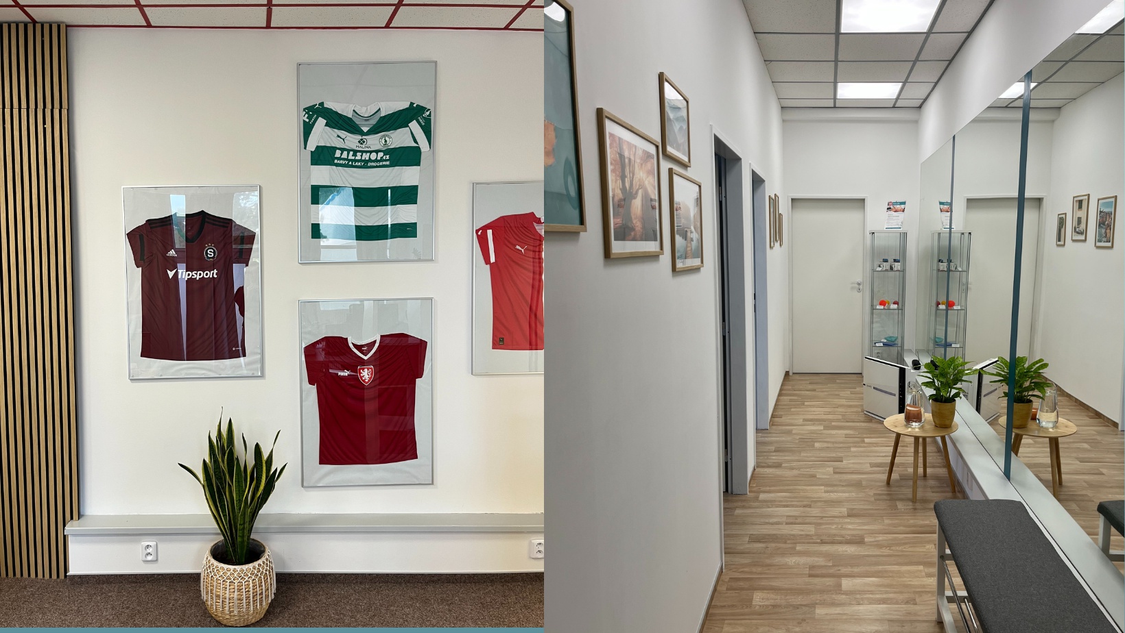 Zdravotní agentura, rehabilitace a masáže Fall & Get Up foto 3