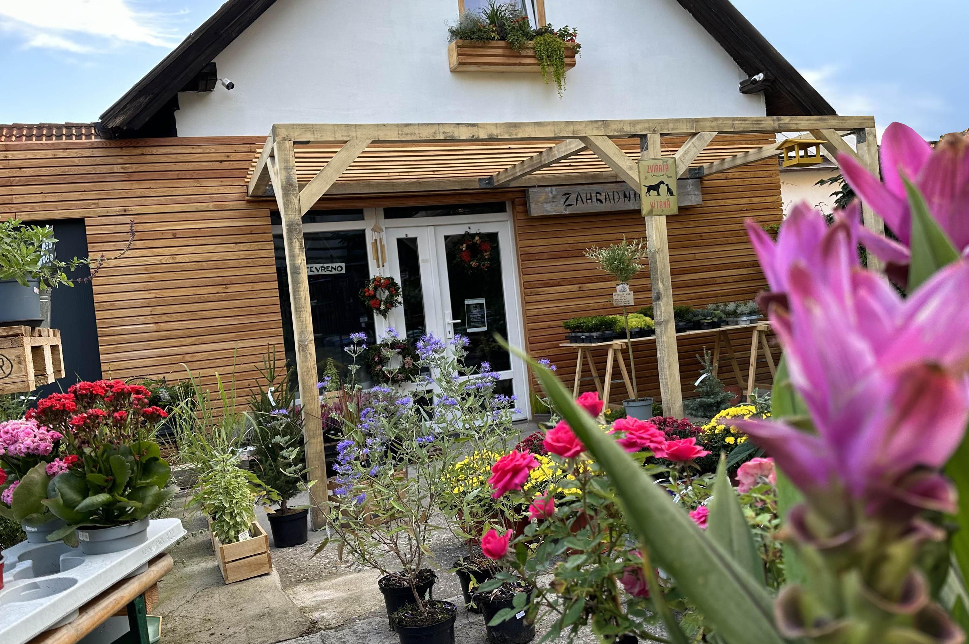 Bylinky revue Pod okýnkem