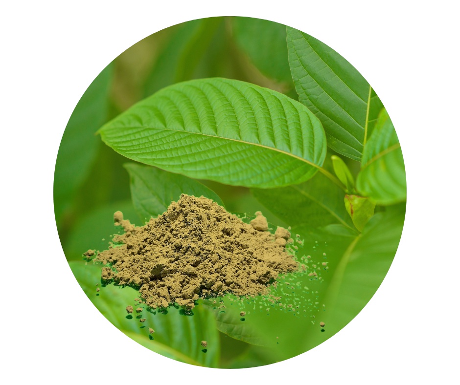 GREEN Healthy Balance by RK foto 4