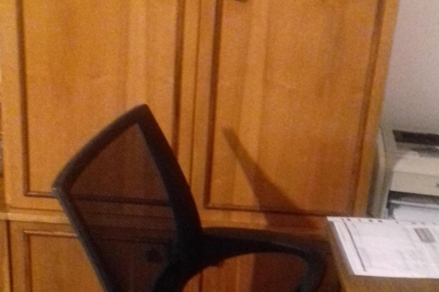 Účetní služby Emilie Valjenntova