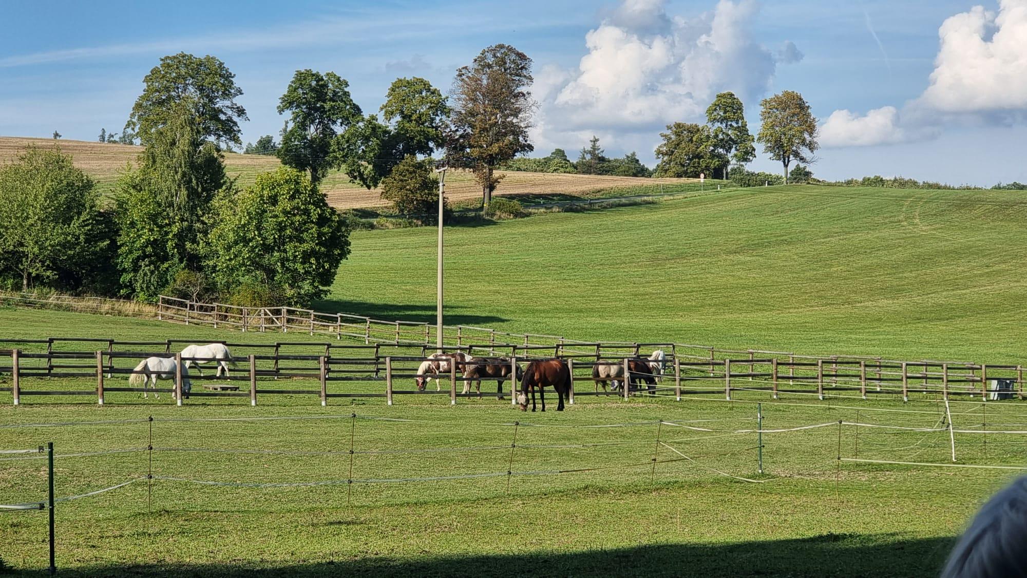 Stáj Láryšov - spolek