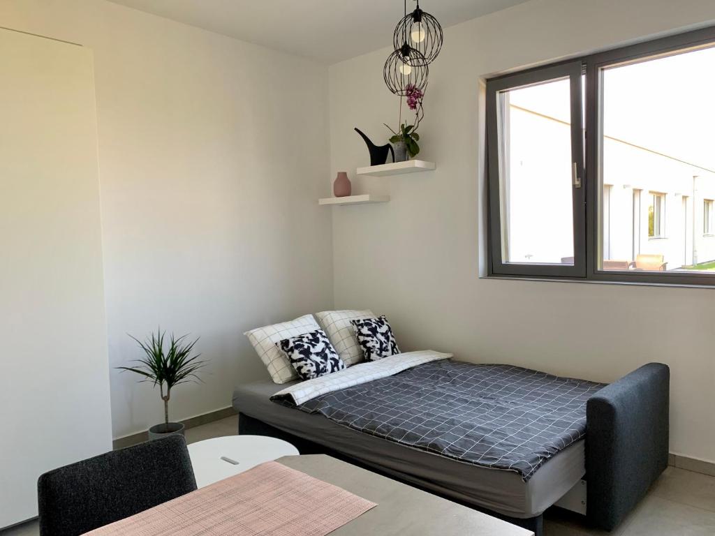 Airbnb TŘEBOŇ - Apartmán Třeboň foto 3
