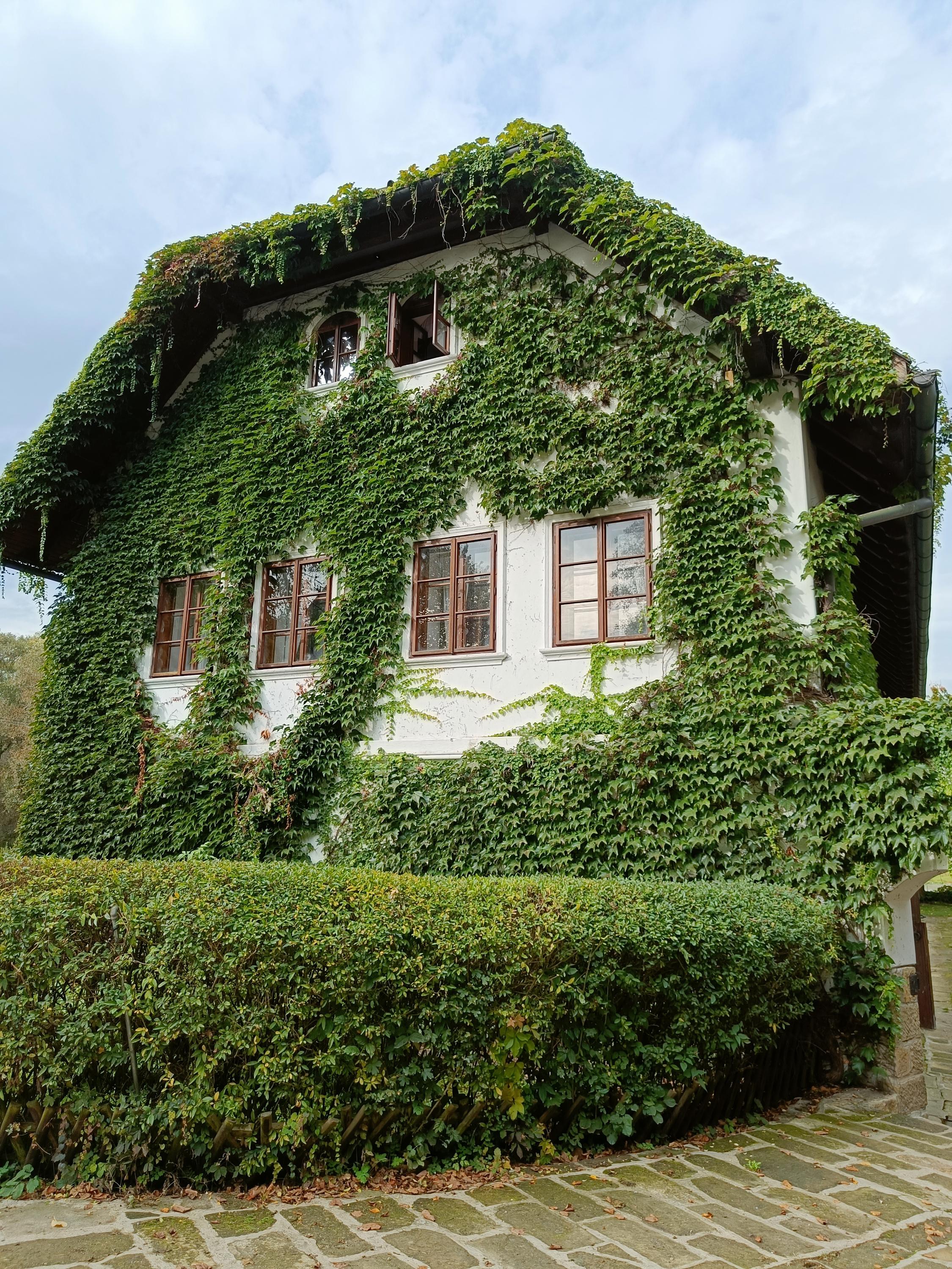 Restaurace Bučický mlýn foto 4