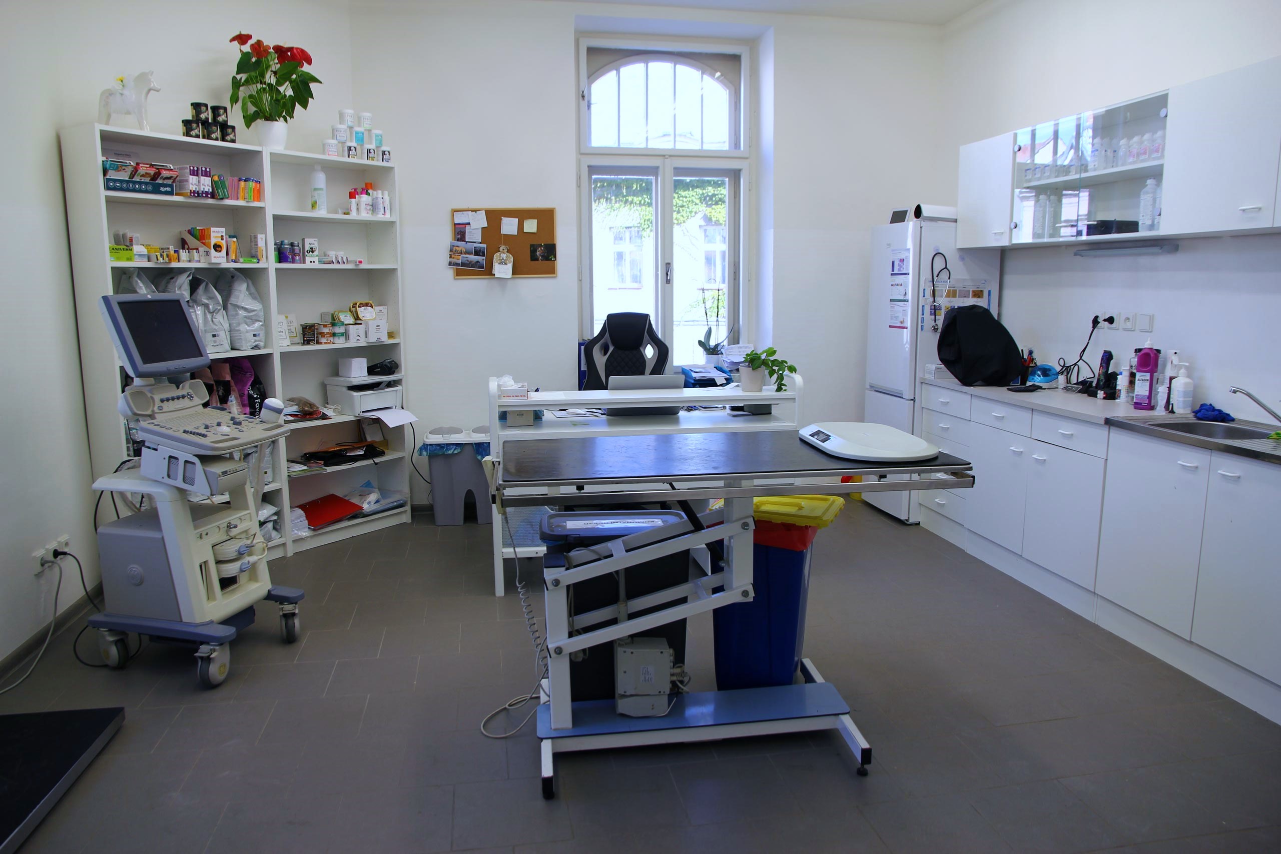 Veterina MVDr. Petra Janáčková