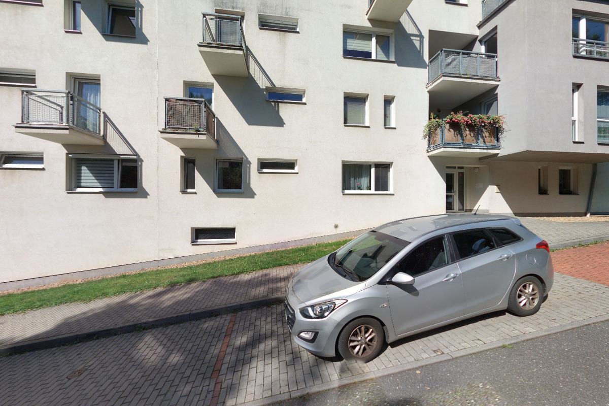 Kořen Projekt foto 2