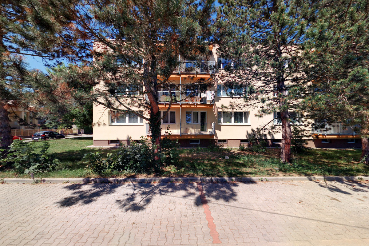 Kateřina Seifertová