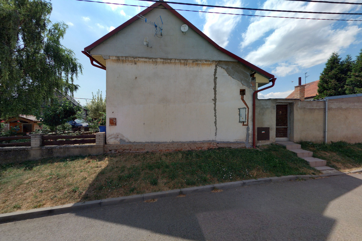 Český svaz chovatelů, z.s., Klub chovatelů holubů kingů