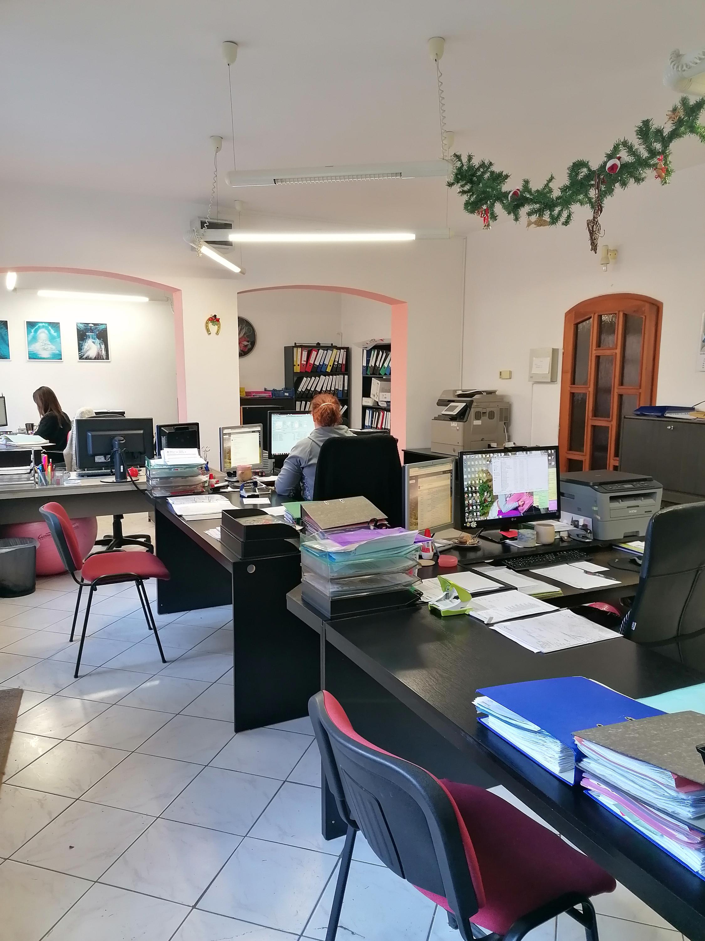 Ing. Šárka Švábová foto 2