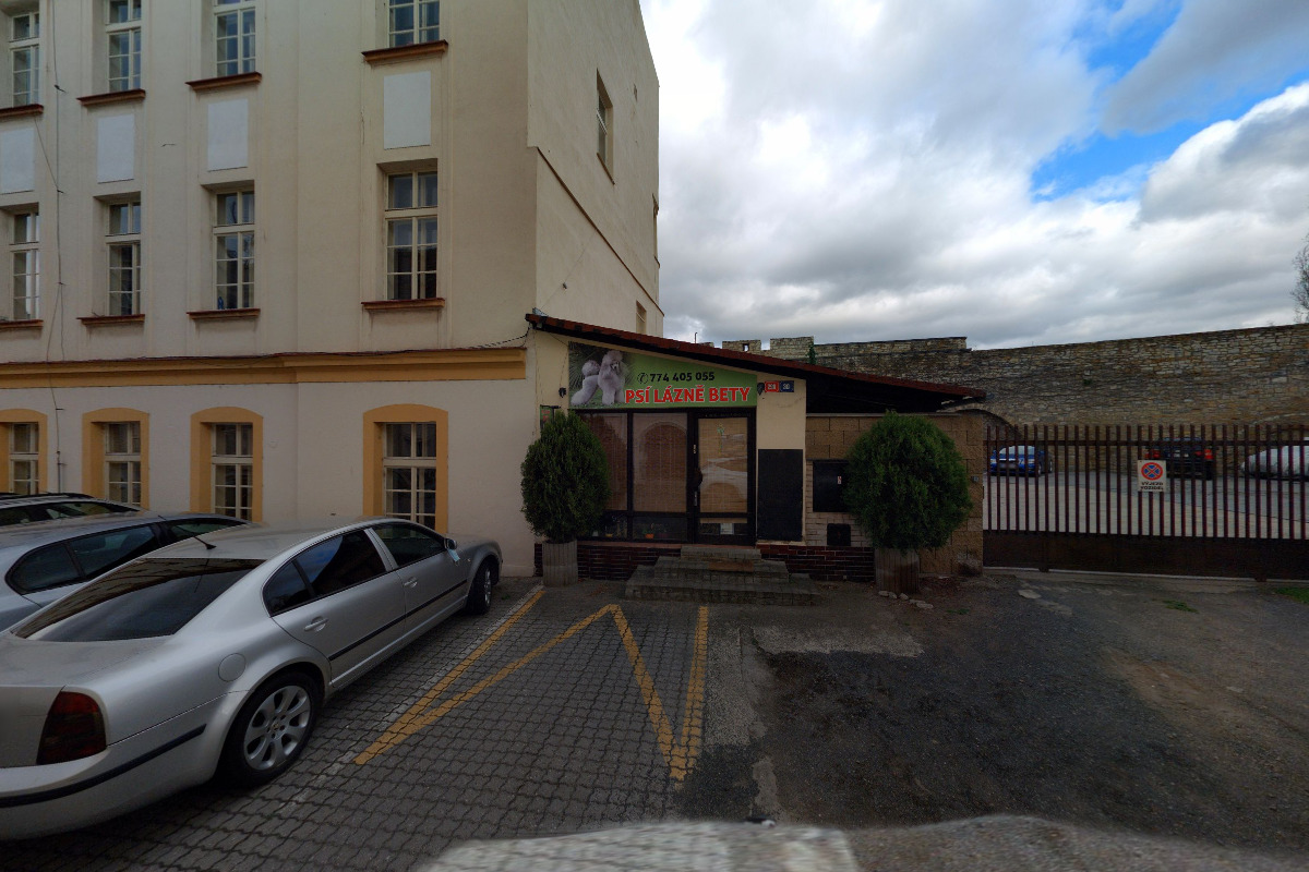 Psí salon a lázně Bety foto 5