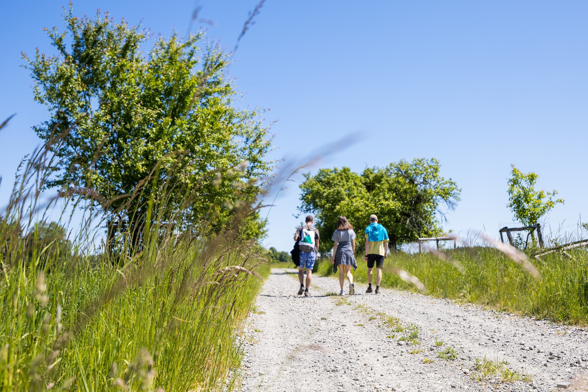 Titio: Brontosauří dětský oddíl foto 3