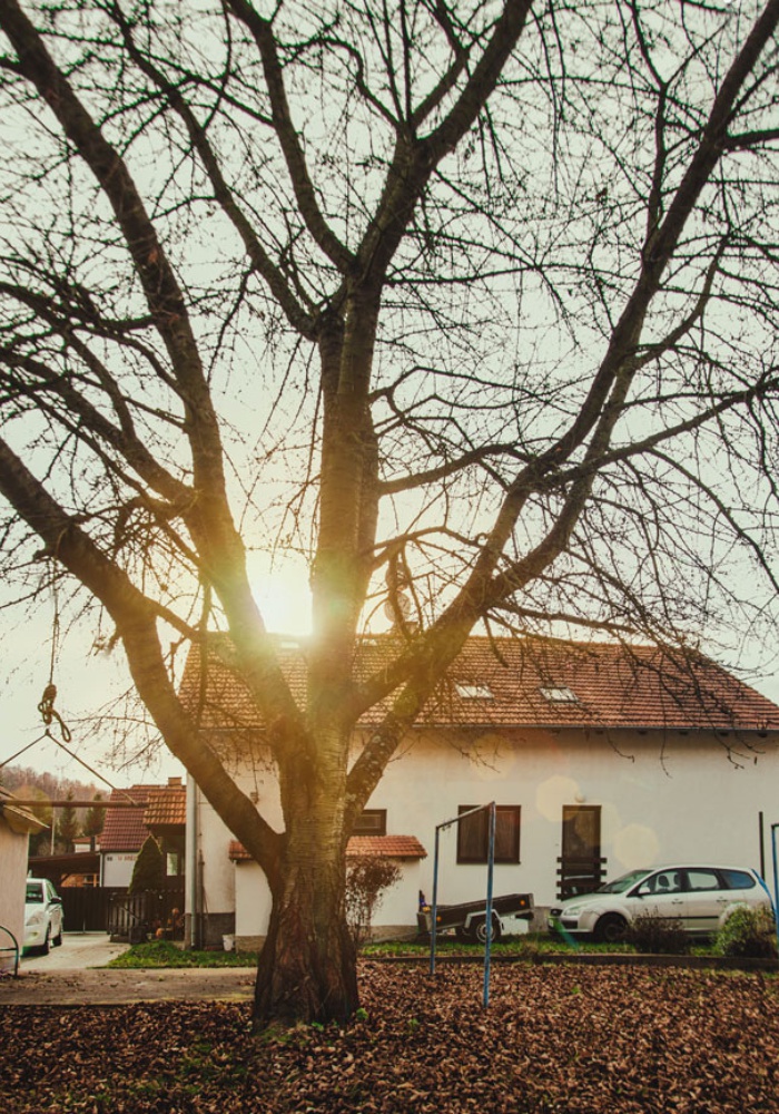 Masáže V Zahradě foto 4