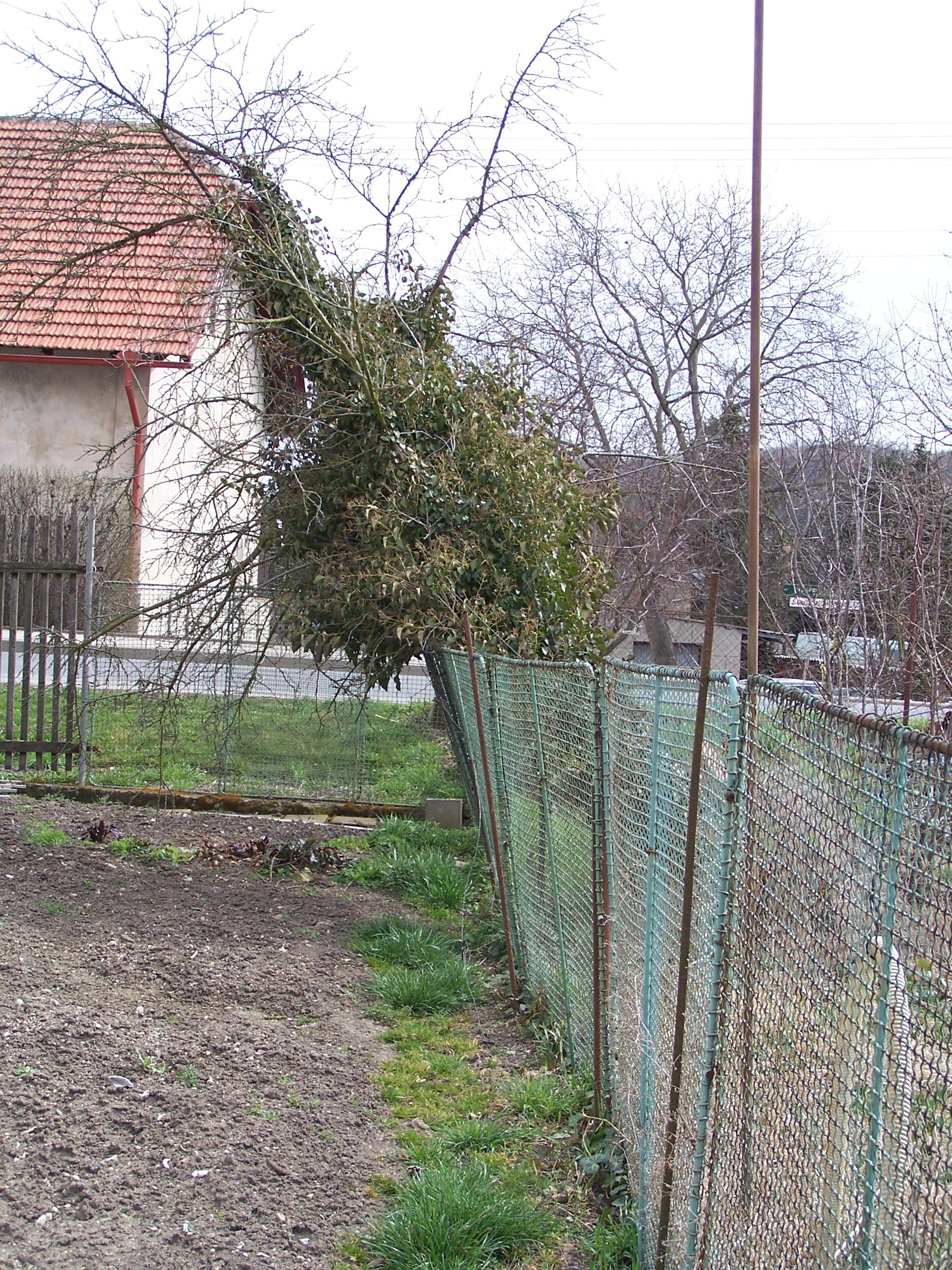 Základní škola Na Dlouhém lánu 43 foto 2
