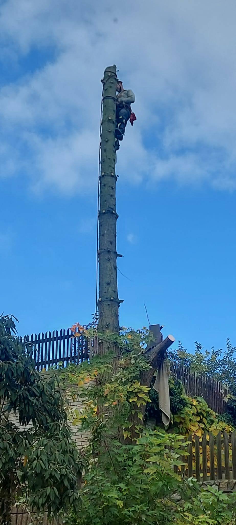 Výškové práce Benda s.r.o. foto 6