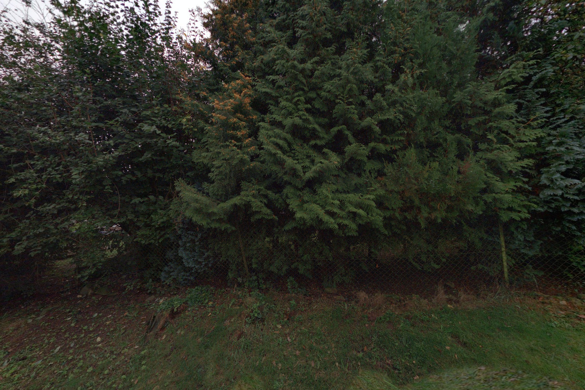 Ing. Otto Šrůta - Hluková studie