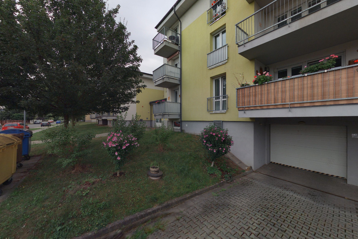 Podané ruce - osobní asistence foto 2