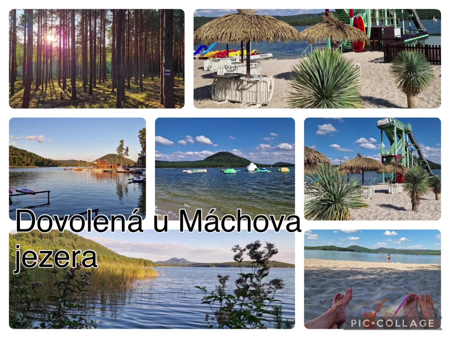 Chatky U Davida 27 a 28 Máchovo jezero foto 2 (náhled videa)