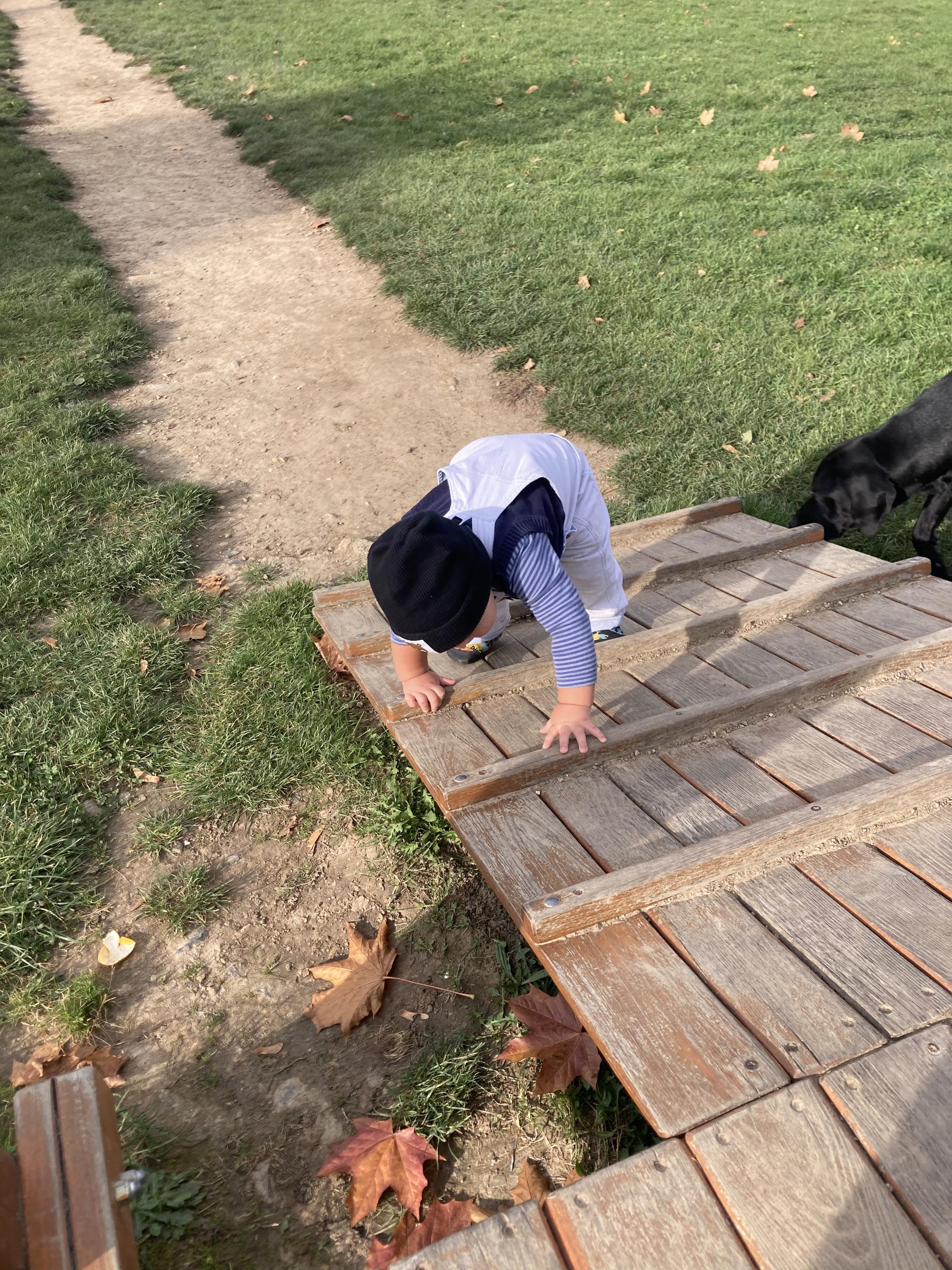 Lesní klub Veselá sýkorka foto 2