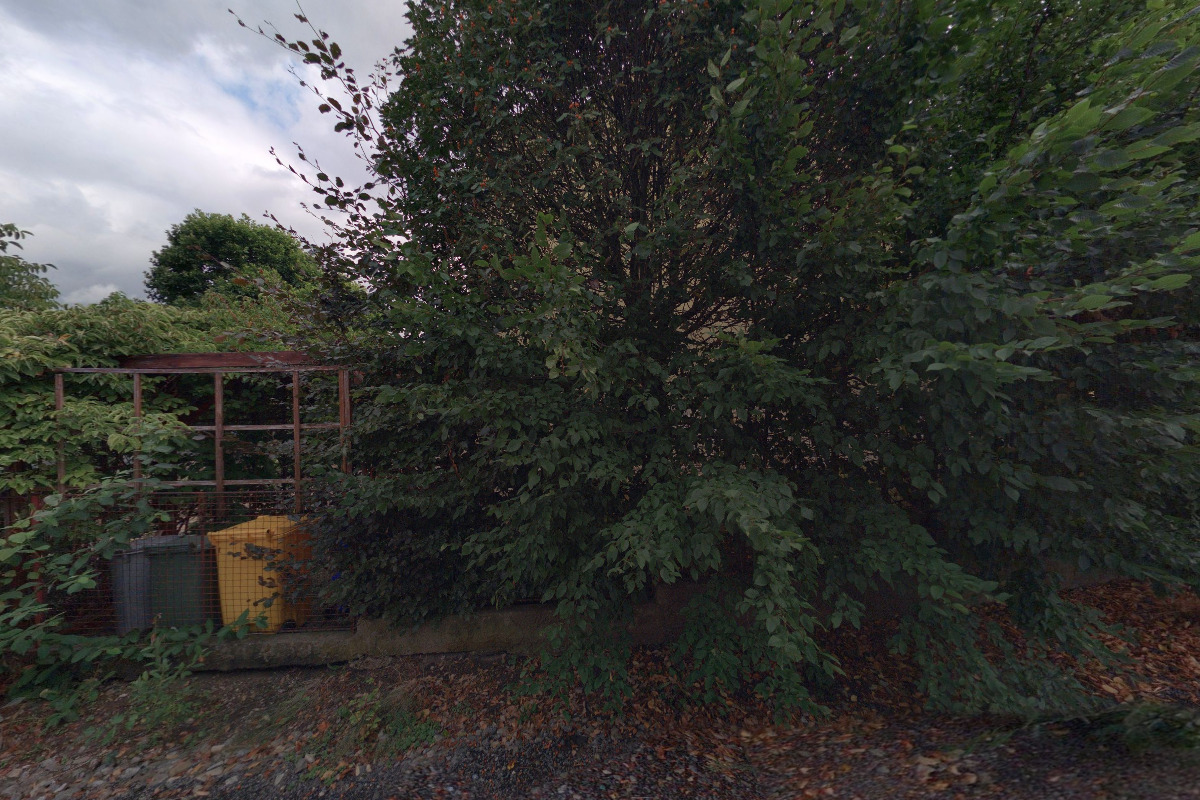 Zahradník Milan Holý foto 2