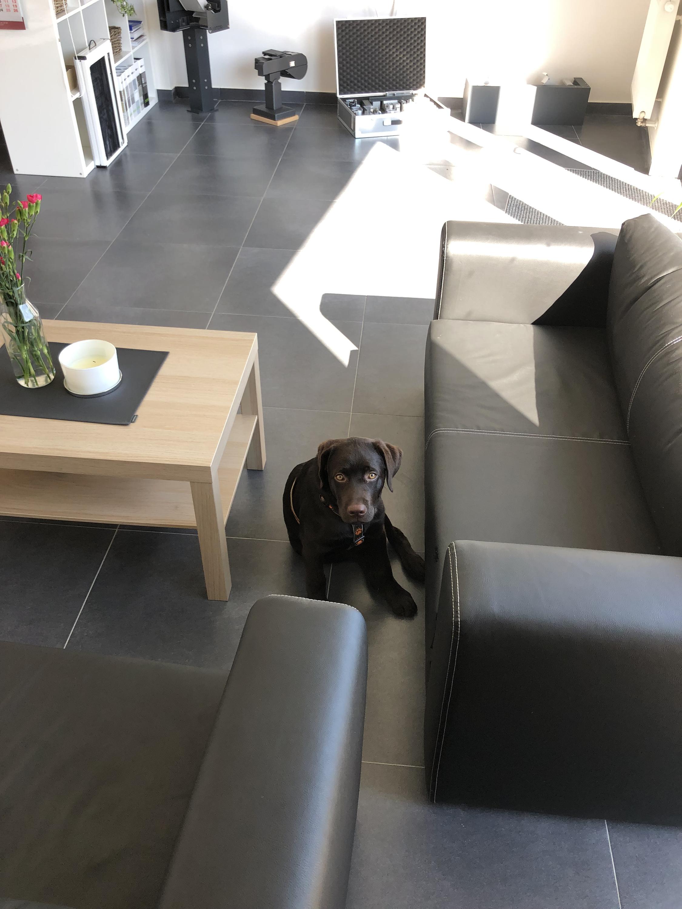 Buchta & Kantor CZ s.r.o. foto 4