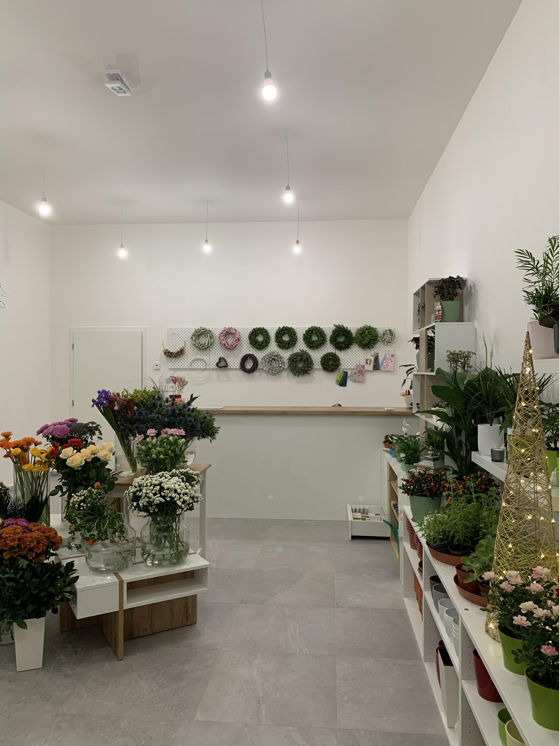 Kačenčino kvítí foto 4