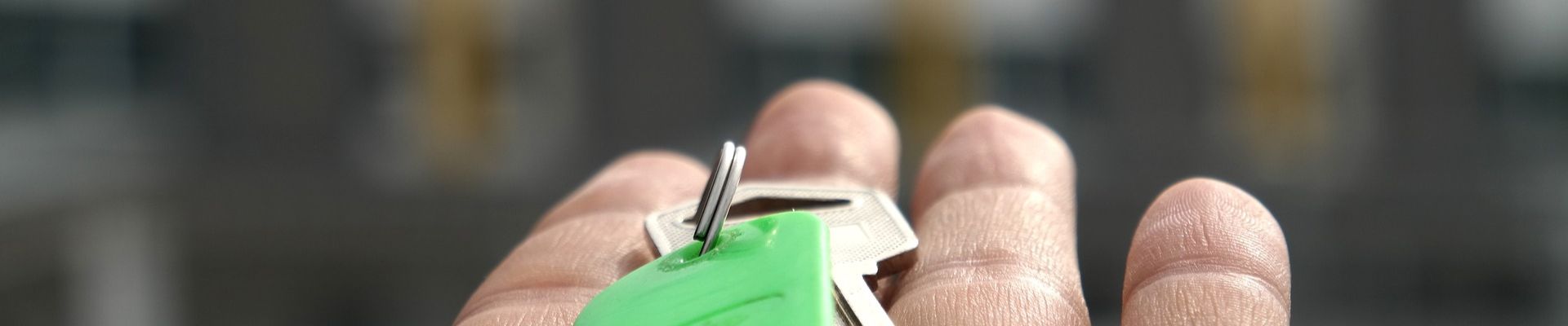 Úvodní obrázek PAVLAS REALITY