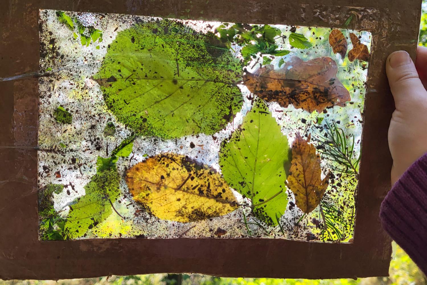 Lesní klub Veselá sýkorka