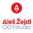 logo Oční studio Aleš Žejdl