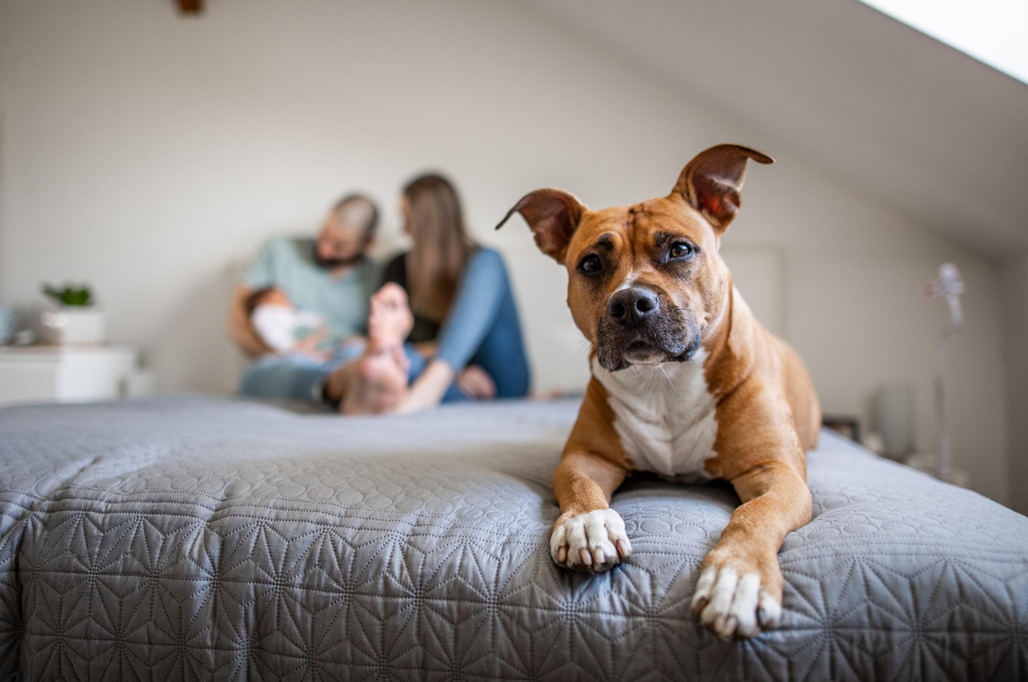 Fotografka Eva Solaříková