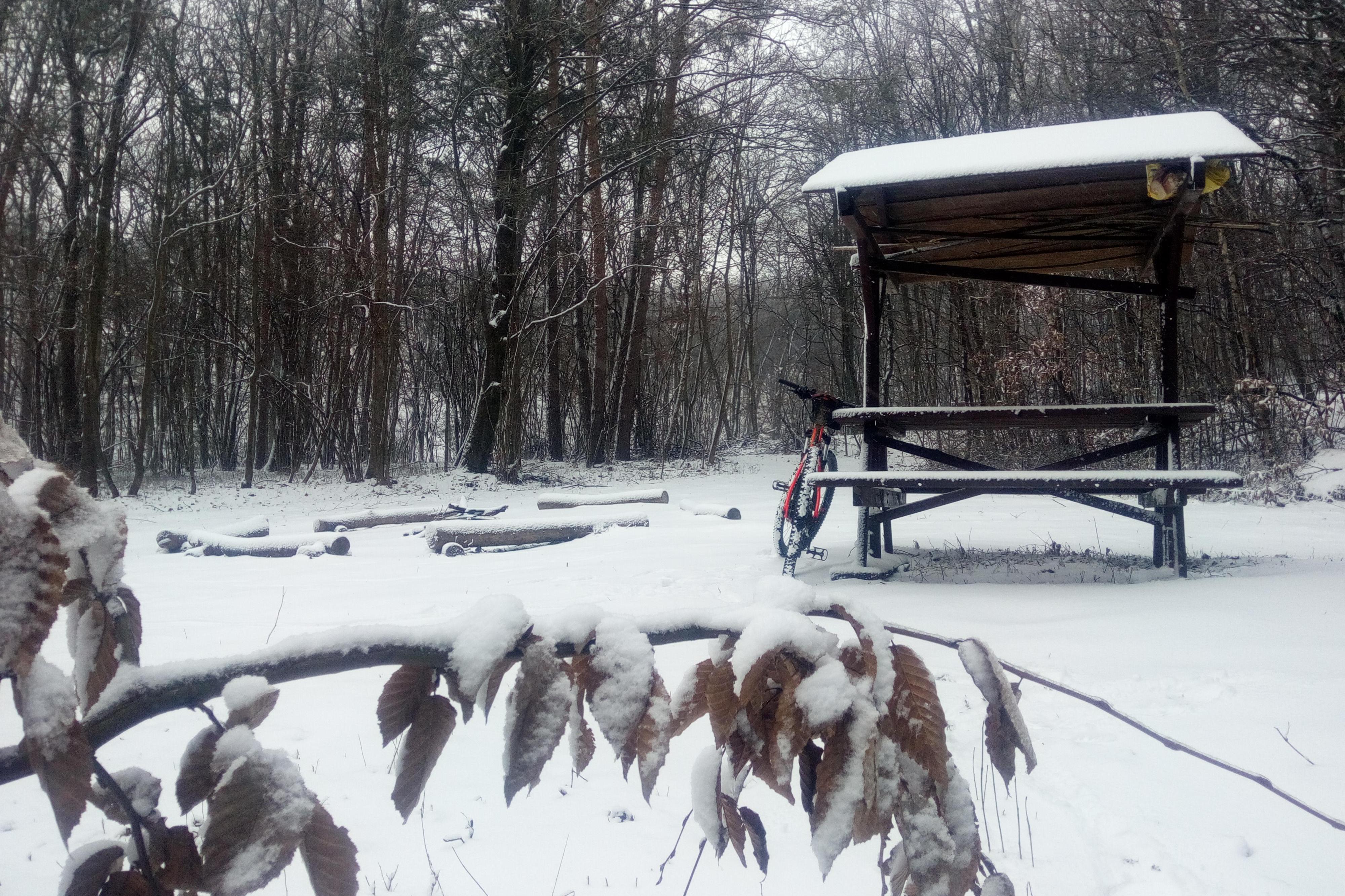 Tábořiště Ještěrka