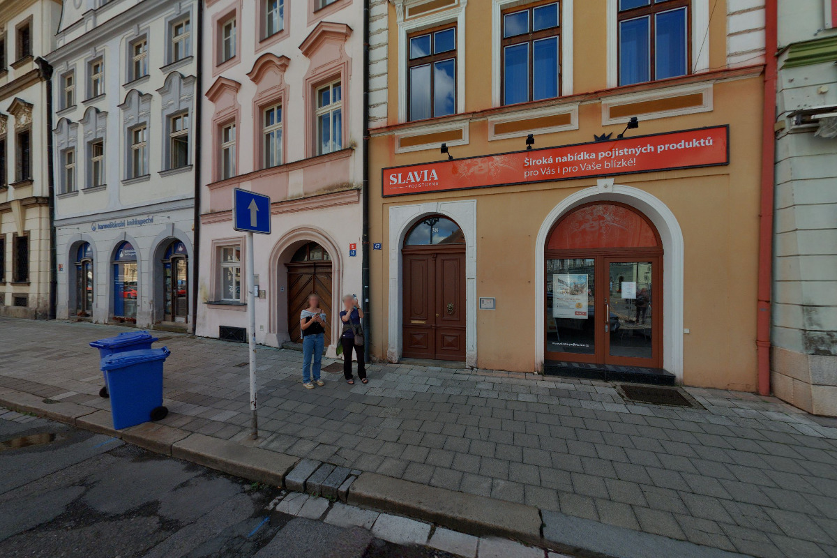 Společnost pro pomoc při Huntingtonově chorobě foto 2