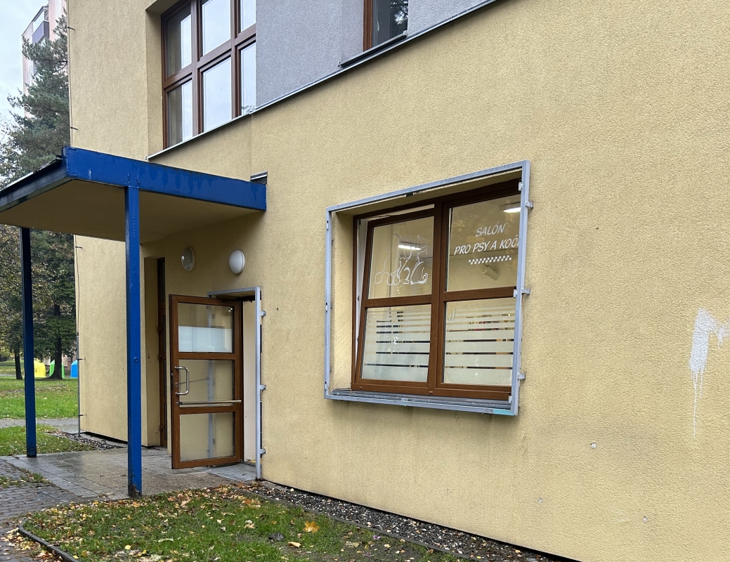 Veronika Fodor - Stříhání psů a koček foto 3