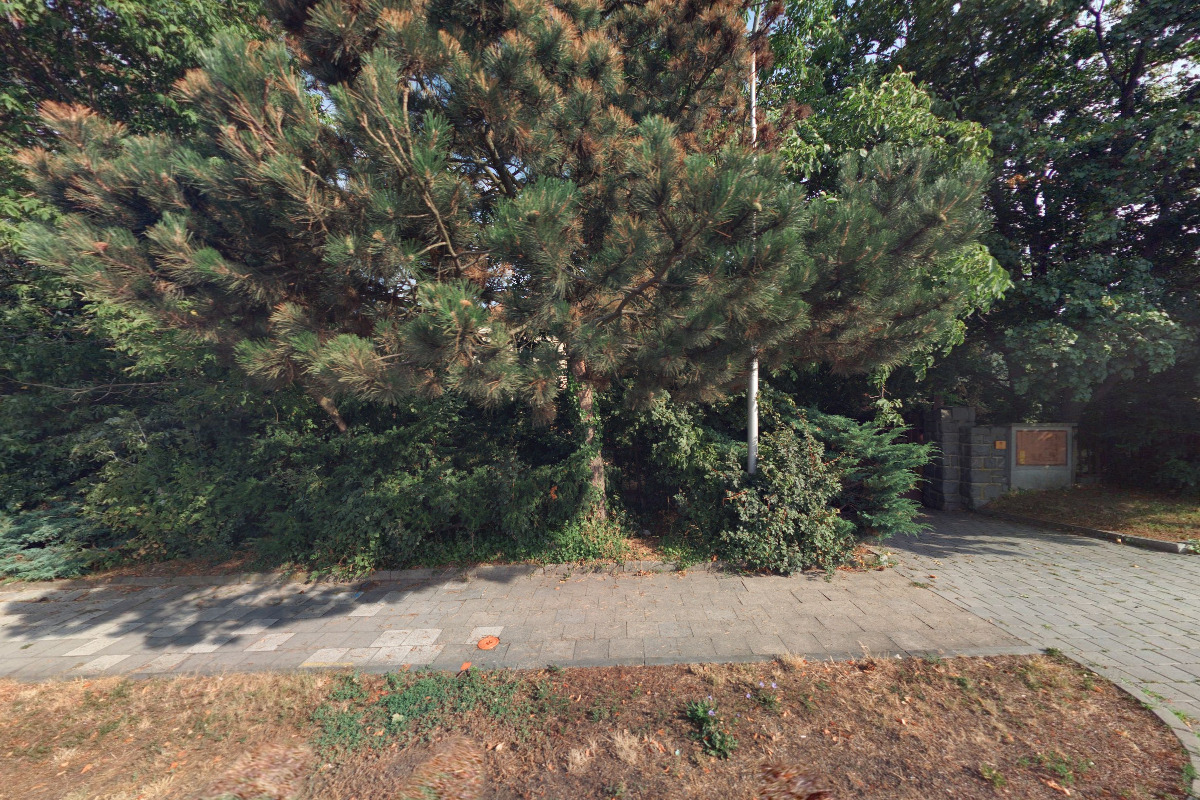 Jakub Hubáček - Houslařství a kytarářství foto 5