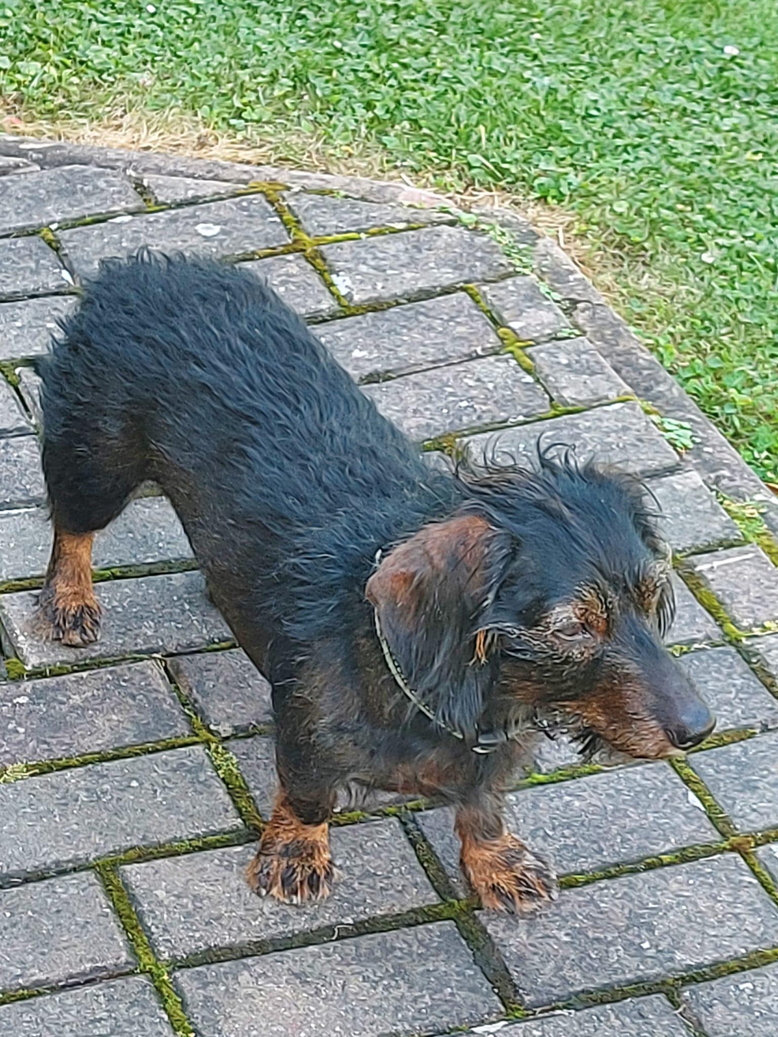 Ubytování Švrčinová foto 3