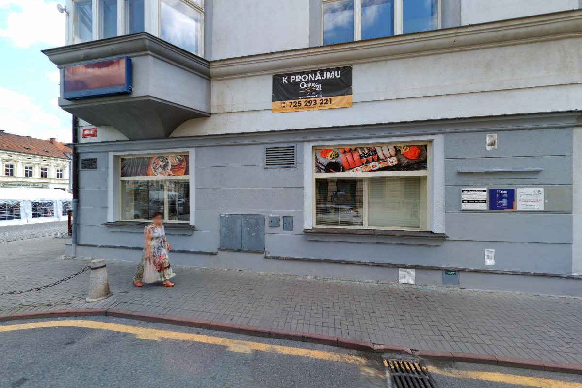 ČMSS - Pavla Lavičková