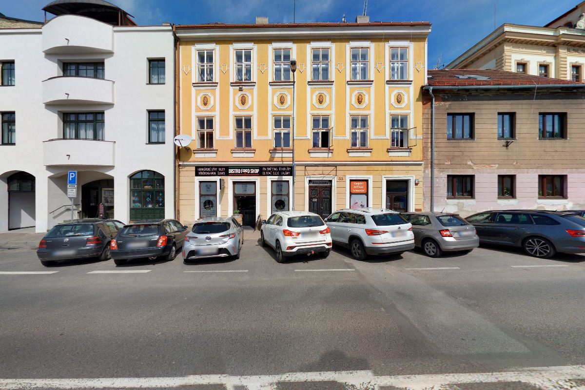 Stříhání psů Jindra Trnovcová foto 1