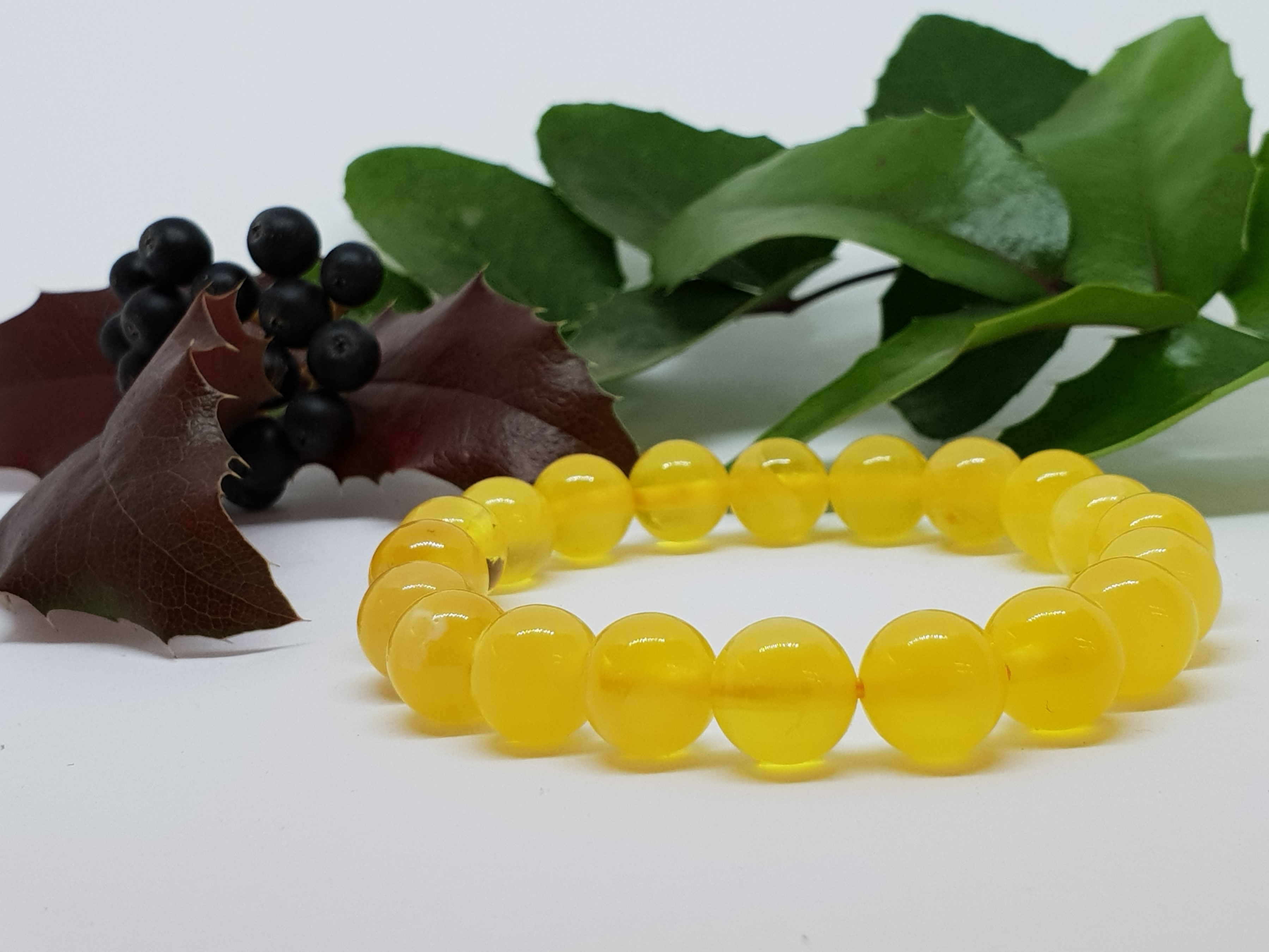 phoenixamber.cz foto 6