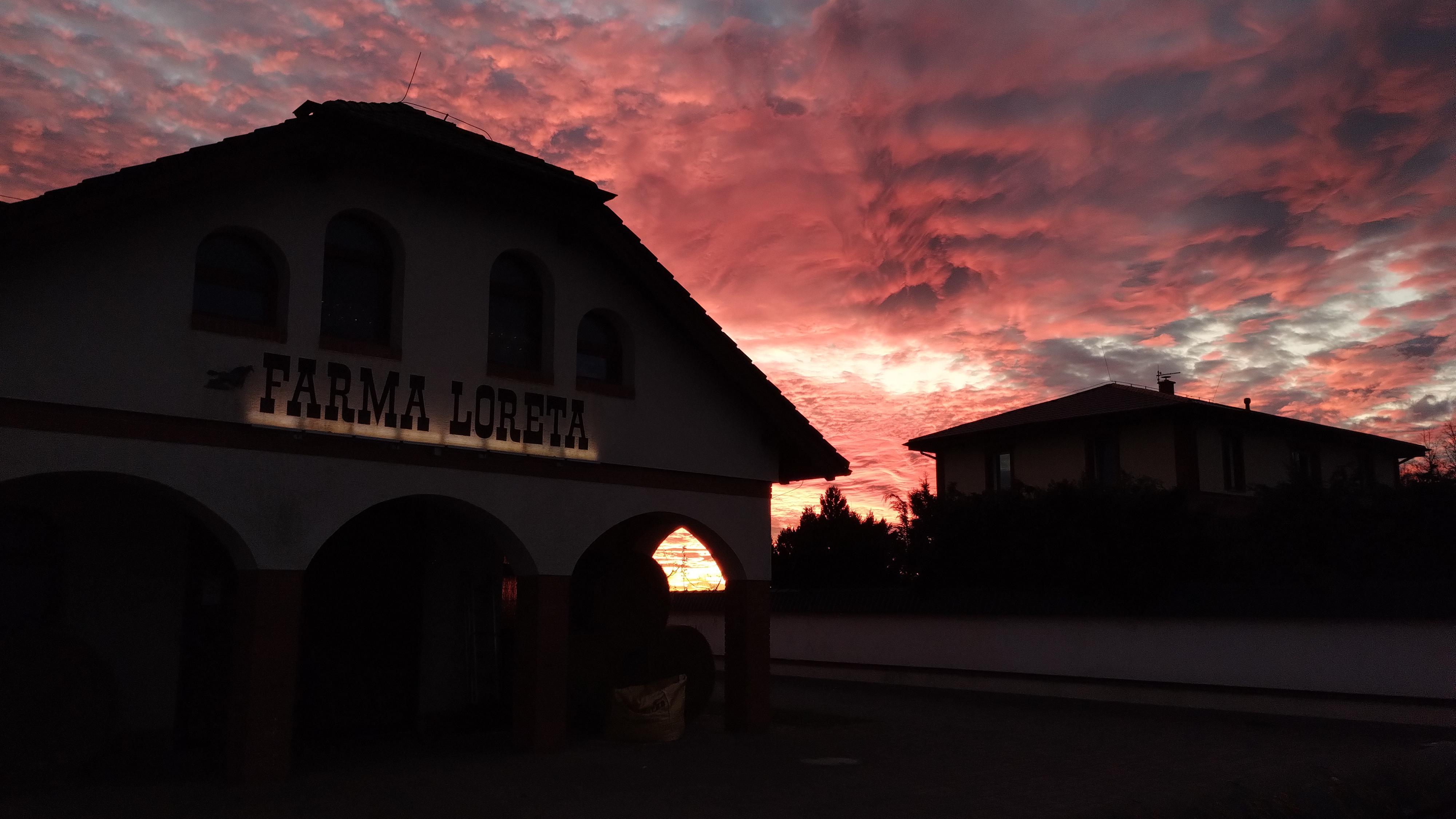 Farma Loreta foto 5