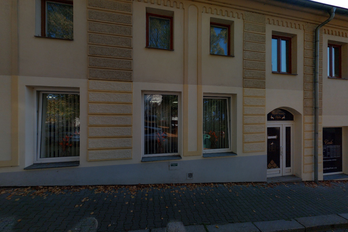 Mgr. Ing. Ladislava Jindřichová, advokátka