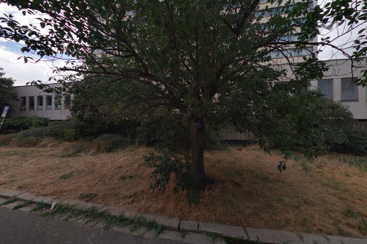 Café bar Černigov foto 3