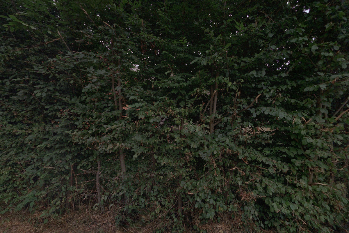 Park studií a reflexe Pravíkov