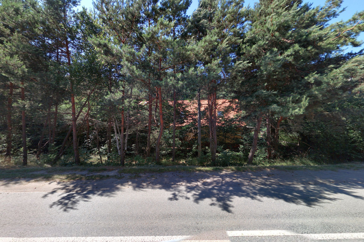 Plzeňský pes
