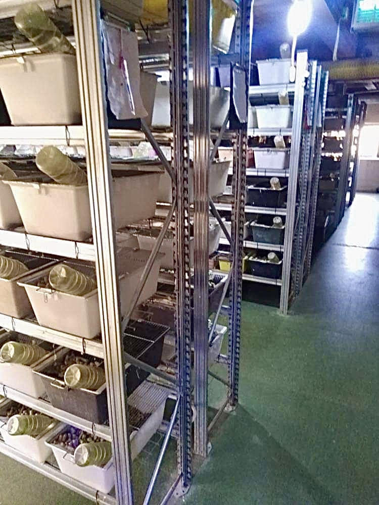 Mouse center sro foto 2