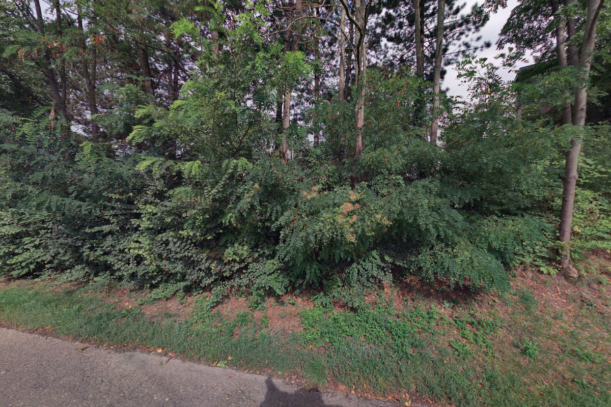 Vodovody a kanalizace Náchod, a.s. foto 2