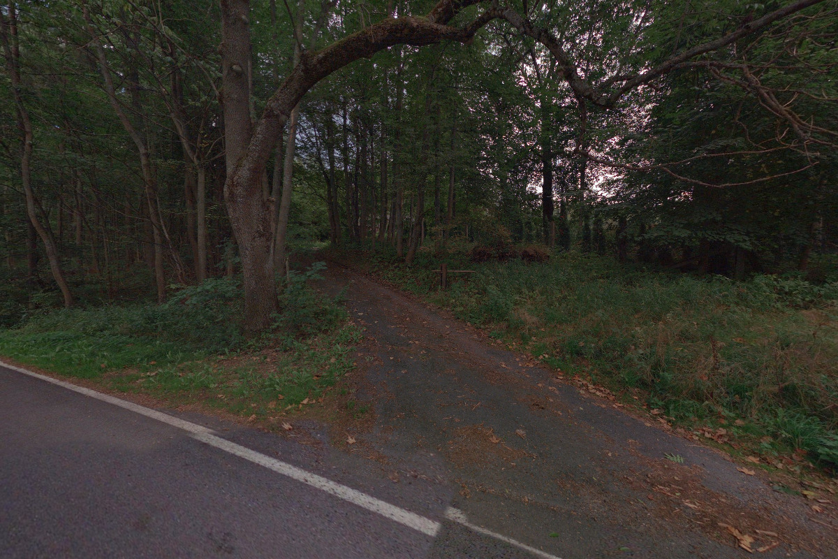 Šumavské lesní školky - Jiří Nauš