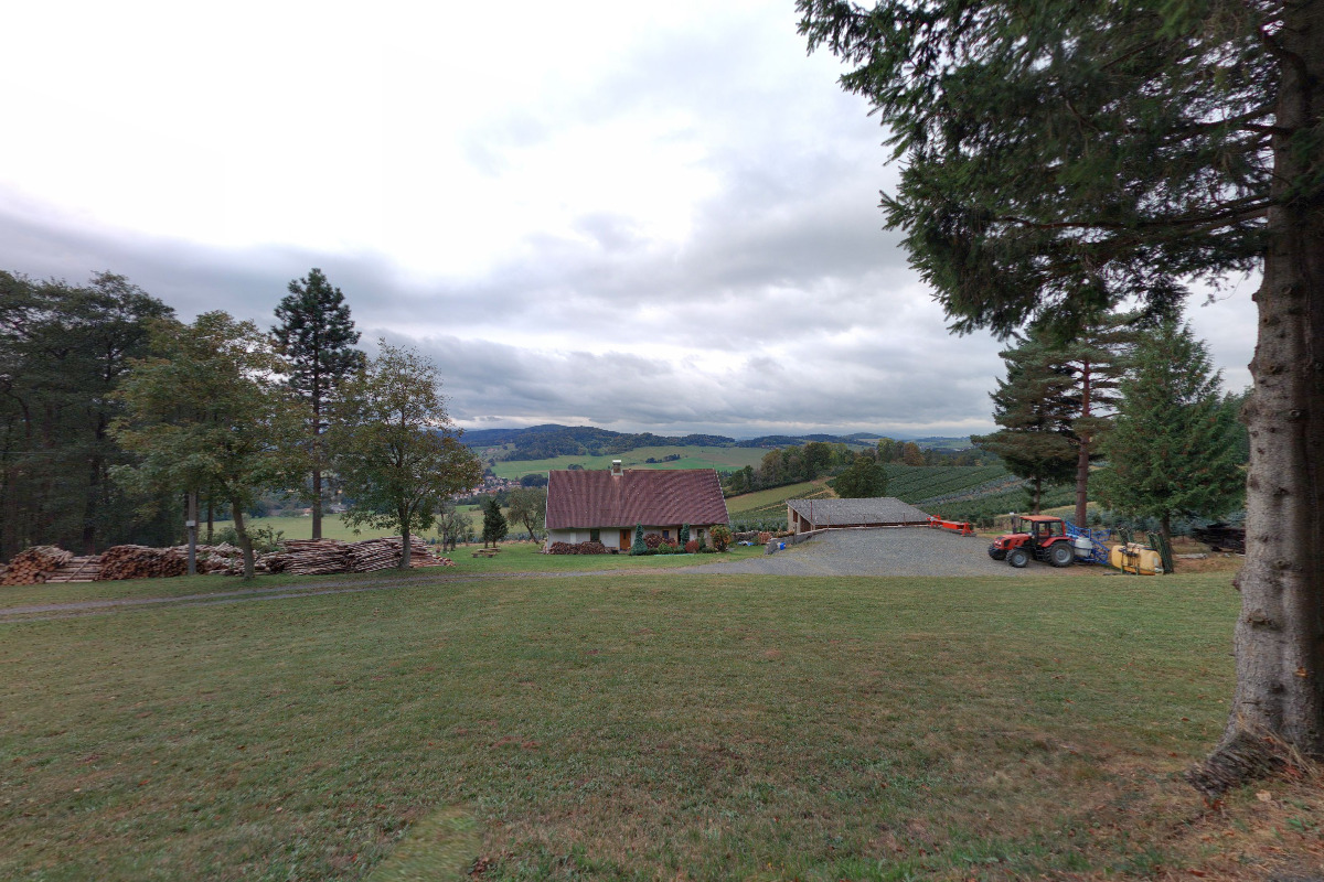 Vánoční stromky z předhůří Šumavy