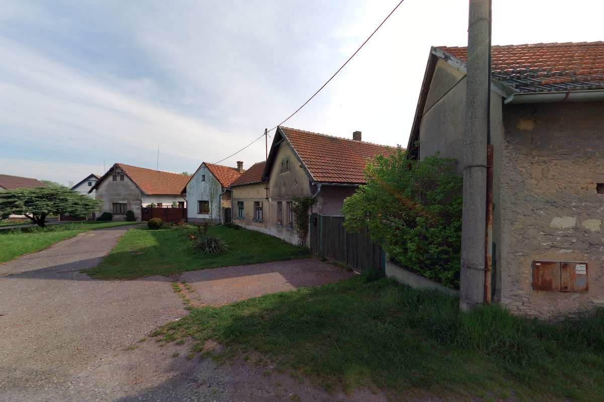 Česká dostihová federace