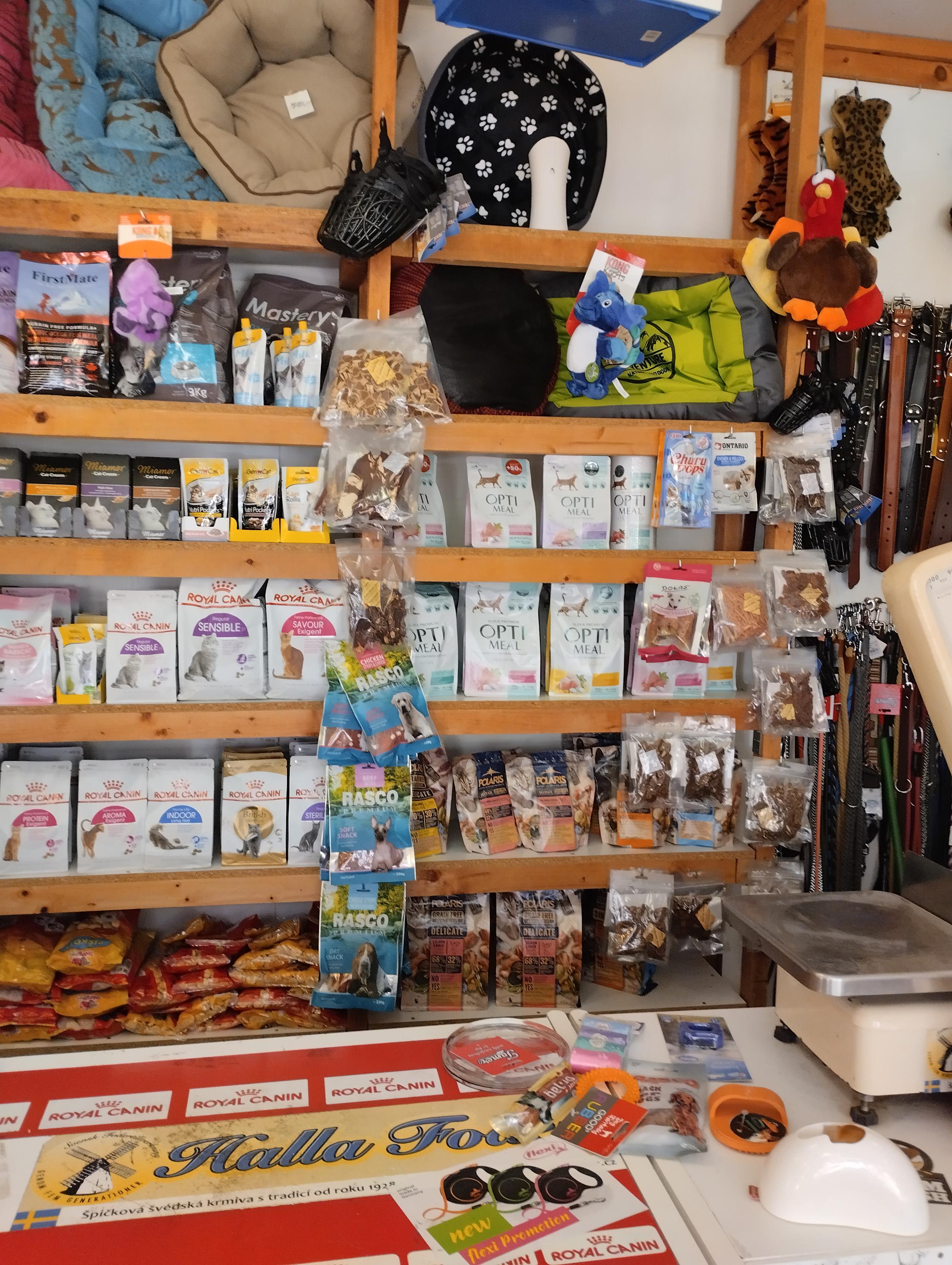 Eliška Forgáčová foto 5