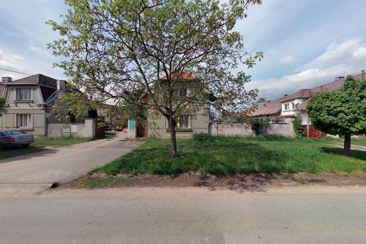 GRENEX - travní koberce foto 5
