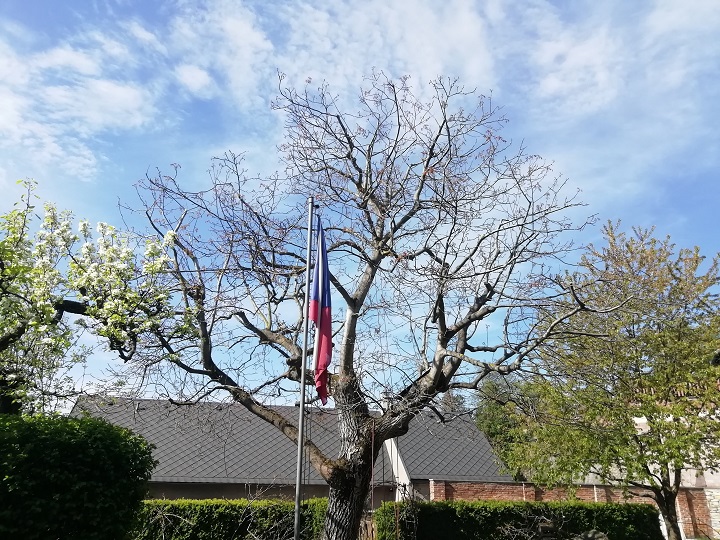 Volhejn ARBO foto 5