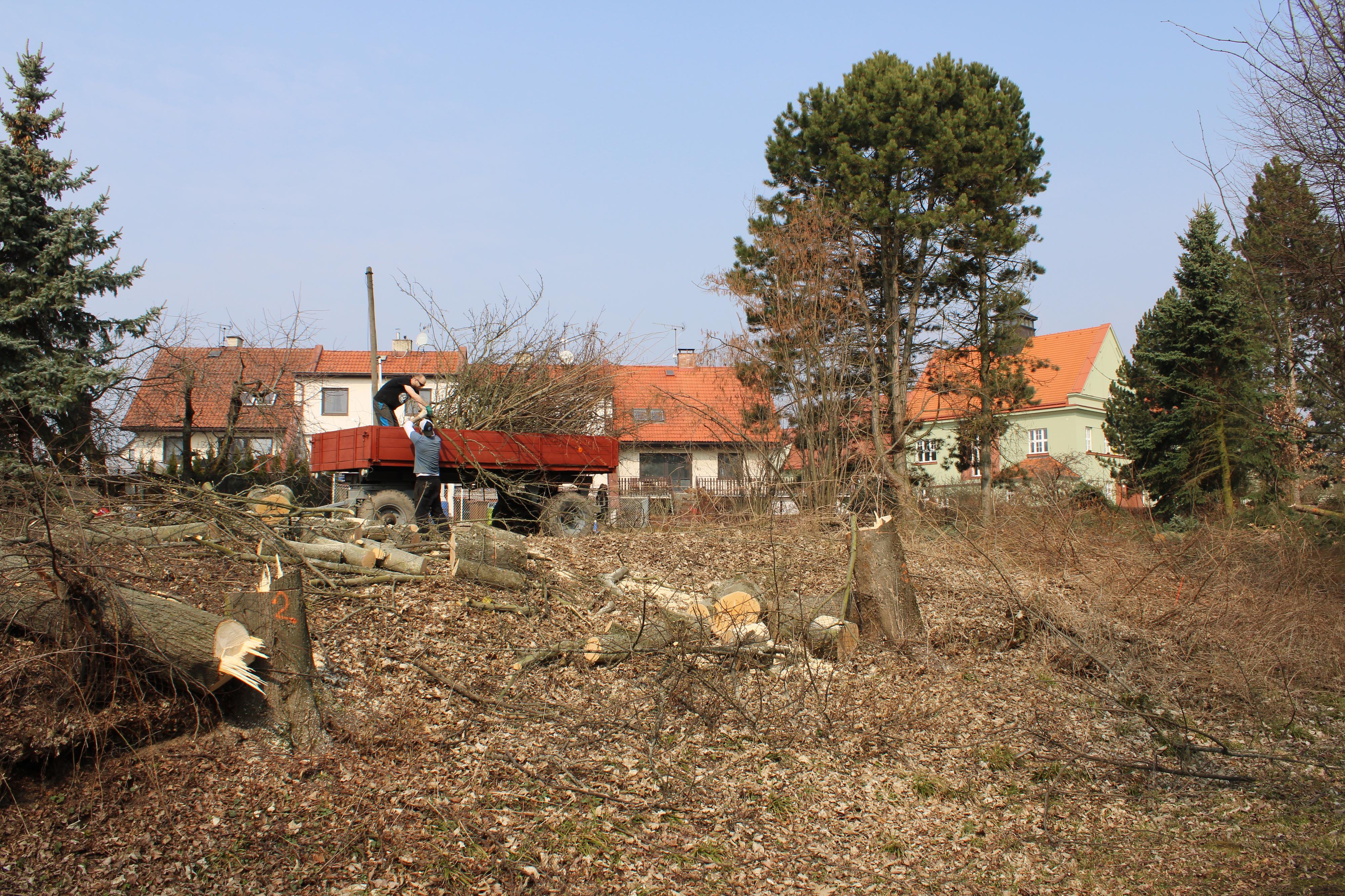 DENIVKOVÁ ZAHRADA foto 6